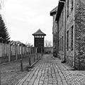 Lieux de mémoire Auschwitz Birkenau Buchenwald