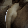 Portfolio Rodin